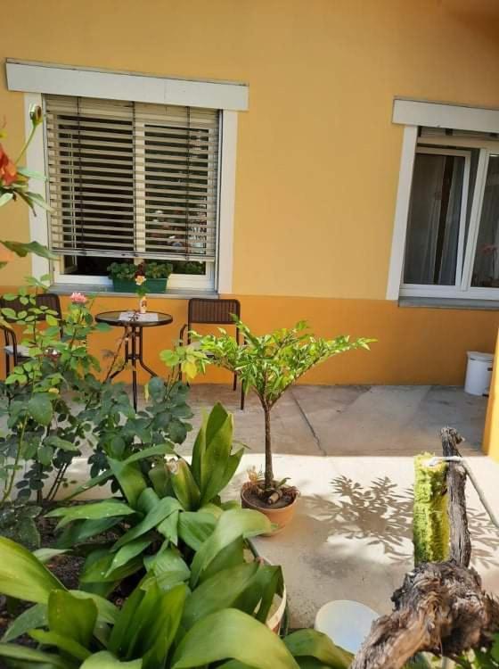Ignim 2 Apartment Subotica Luaran gambar